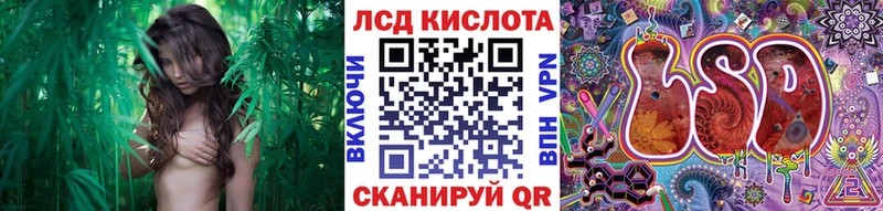 хочу   Куртамыш  OMG сайт  Марки NBOMe 1,5мг 